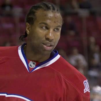 Georges Laraque in a jersey