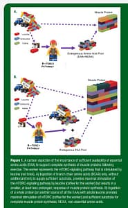Lego lesson for anyone interested.
