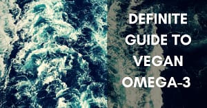 guide to vegan omega