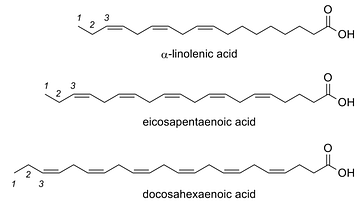 linolnic acid