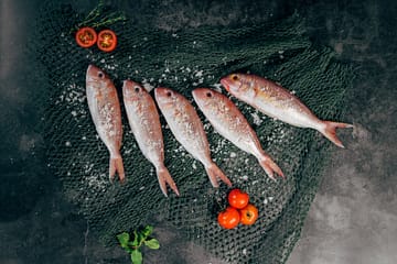 Have you ever heard of a <a href="https://veganliftz.com/how-to-go-vegan-for-beginners/">vegan</a> who eats fish or asked yourself are clams vegan? These are common questions that come up even from lifelong vegans.  The vegan lifestyle does not include consuming fish or other seafood. Pescatarians are people who eat fish, but abstain from other types of meat. The difference between these two diets is that vegans do not eat fish or seafood.  Here’s your guide to exploring the differences between vegan and pescatarian diets.  <blockquote>One big question for vegans is “are clams vegan?” There are vegans who do eat clams, muscles, and other types of seafood. How can this be if fish isn’t vegan? Read on to find out.</blockquote> <ul> <li><a href="#a-vegan-diet">A Vegan Diet Defined </a></li> <li><a href="#what-is-a-pescatarian-diet?">What is a Pescatarian Diet? </a></li> <li><a href="#can-you-be-a-vegan-who-eats-fish?">Can You Be a Vegan Who Eats Fish?</a></li> <li><a href="#is-fish-vegetarian?">Is Fish Vegetarian? </a></li> <li><a href="#are-clams-vegan?">Are Clams Vegan? </a></li> <li><a href="#vegan-alternatives-for-pescatarians">Vegan Alternatives for Pescatarians  </a></li> <li><a href="#vegan-vs-pescatarian-faqs">Vegan Vs Pescatarian FAQs</a> </li> </ul> <h2>A Vegan Diet Defined </h2> Before we can figure out if you can be a vegan who eats fish, we need to <a href="https://www.northshore.org/healthy-you/vegan-flexitarian-vegetarian-pescatarian-and-macrobiotic-diets--whats-the-difference/" data-cke-saved-href="https://www.northshore.org/healthy-you/vegan-flexitarian-vegetarian-pescatarian-and-macrobiotic-diets--whats-the-difference/"><u>define the vegan diet</u></a>.  Veganism is a lifestyle that seeks to reduce and eliminate all animal consumption. Some vegans are stricter than others, but in general this means not eating or using animal products. Strict vegans go beyond just a vegan diet and eschew <a href="https://veganliftz.com/is-pu-leather-vegan/">leather</a> and other animal products outside their meals.  <h2>What is a Pescatarian Diet? </h2> Before you try to piece together a meal with Red Lobster vegan options, we should cover what a pescatarian diet is.  Vegetarians will find a pescatarian diet fairly familiar. Pescatarians do not eat meat or poultry, but they do eat fish, dairy, and eggs. Pescatarians have a diet that you can consider basically vegetarian + fish.  Many pescatarians are also on diets that are mostly vegan with fish as infrequent additions to their diet. Pescatarians <a href="https://wfmchealth.org/family-health-care/decoding-the-differences-between-vegetarian-vegan-and-pescatarian-diets/" data-cke-saved-href="https://wfmchealth.org/family-health-care/decoding-the-differences-between-vegetarian-vegan-and-pescatarian-diets/"><u>might eat other seafood</u></a>, like muscles or squid, but this varies from person to person.  <h2>Can You Be a Vegan Who Eats Fish?</h2> Vegans do not eat fish or other seafood. A vegan who eats fish would technically be considered a pescatarian. According to the vegan lifestyle, fish is considered an animal product and would be excluded by this diet.  Vegans are going to have to turn to their favorite Korean tofu soup recipe vegetarian instead of fish!  <h2>Is Fish Vegetarian?</h2> <a href="https://veganliftz.com/the-difference-between-vegan-and-vegetarian-diets/">Vegetarians</a> are going to also need to find a good vegetarian shrimp recipe instead of eating fish.  The vegetarian diet does not include fish, meat, or poultry. There are lacto-ovo vegetarians who eat dairy and eggs, but there aren't usually vegetarians who eat fish. Things do get a little complicated for vegetarians when it comes to eating fish. There are certain religious groups that do not consider fish to be a type of meat. Vegetarians who are part of these religious groups might still see themselves as vegetarian, but eat fish on a regular basis.  <h2>Are Clams Vegan? </h2> One big question for vegans is “are clams vegan?” There are vegans who do eat clams, muscles, and other types of seafood. How can this be if fish isn’t vegan? <h3>The Source of the Vegan Clams Debate</h3> This debate originates from Peter Singer’s landmark book “Animal Liberation.” This book outlines some core arguments for the <a href="https://veganliftz.com/levels-of-veganism/">vegan lifestyle</a>.  In one of the most interesting sections, Singer outlines why eating clams or mussels might still be vegan. Here are the pros and cons for “are clams vegan.” <h4>The Pros of Vegans Eating Clams</h4> Singer and other <a href="https://www.vogue.com/article/peter-singer-animal-liberation-new-book-why-vegan" data-cke-saved-href="https://www.vogue.com/article/peter-singer-animal-liberation-new-book-why-vegan"><u>ethicists and researchers have argued</u></a> that clams, mussels, and other types of sea life aren't technically capable of feeling pain. This comes down to the anatomy of these creatures and how their bodies are physically constructed. These individuals argue that since the animal can't feel pain, eating clams is still vegan.  <h4>The Cons of Vegans Eating Clams </h4> However, this research is far from conclusive. There are people who believe that since clams and mussels fall into the animal kingdom, they are still excluded from a vegan diet. There are other issues to consider that are common motivations for the vegan lifestyle including environmental and sustainability concerns.  <h2>Vegan Alternatives for Pescatarians  </h2> Pescatarians who are looking to try out a vegan diet are going to be able to find plenty of options that give them familiar fish recipes and taste, but without any of the actual fish. <h3>Vegan Fish Fast Food</h3> Finding vegan fish alternatives at fast food restaurants has gotten easier than ever before. Most diners and restaurants offer vegan options that can cover your taste for seafood. You can even find Red Lobster vegan options!  <h3>Vegan Protein Sources</h3> Vegans have plenty of options for protein that aren’t fish or seafood. These <a href="https://veganliftz.com/best-vegan-protein-sources/" data-cke-saved-href="https://veganliftz.com/best-vegan-protein-sources/"><u>vegan protein sources</u></a> include mushrooms, nuts, and beans. You can also enjoy healthy vegan cooking that offers plenty of protein.  Fish contains healthy omega-3 fatty acids that vegans will need to find replacements for. The good news is that there are plenty of <a href="https://www.pcrm.org/good-nutrition/nutrition-information/omega-3" data-cke-saved-href="https://www.pcrm.org/good-nutrition/nutrition-information/omega-3"><u>vegan sources of omega-3s</u></a> that you can easily add to your diet!  <h3>Diversify Your Vegan Recipes!</h3> Vegans spend a lot of time in the kitchen and this could mean getting stuck in a rut with your favorite recipes. You can try to diversify what you eat with low carb high protein vegetarian recipes or even a tasty Korean tofu soup recipe vegetarian! All you need are some <a href="https://veganliftz.com/best-vegan-meat-recipes/" data-cke-saved-href="https://veganliftz.com/best-vegan-meat-recipes/"><u>good recipes that use vegan meat </u></a>to get some healthy protein without losing out on flavor.  If you find the right <a href="https://veganliftz.com/best-vegan-cookbooks/" data-cke-saved-href="https://veganliftz.com/best-vegan-cookbooks/"><u>vegan cookbook</u></a>, you can even make a vegetarian shrimp recipe that will have the pescatarians in your life craving more!  <h2>Vegan VS Pescatarian FAQs </h2> <h3>Do Vegans Eat Fish?</h3> Vegans do not eat fish or other seafood products. The vegan lifestyle is based entirely on a plant-based diet. This means no fish, dairy, eggs, meat, or poultry.  <h3>What is Vegan Fish Made Out Of?</h3> You can make a vegan fish out of a variety of plant-based proteins. Vegan fish is commonly made out of <a href="https://veganliftz.com/tofu-vegan-food/">tofu</a>, proteins derived from peas, or soy. There are a variety of vegan fish recipes that you can try out at home.  <h3>Can Vegans Go Fishing? </h3> Most vegans would avoid going fishing as it would be pretty easy to argue that fishing harms the animals that you are trying to catch. However, some vegans argue that catch-and-release fishing can be done as quickly and in a way that is still in line with their vegan lifestyle. 