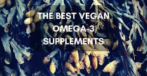 THE BEST VEGAN OMEGA-3 SPPLEMENTS (1)