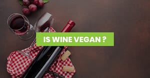 Is wine vegan featured image