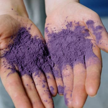 purple powder on the palms