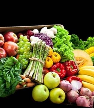 vegan body-building meal plan calories