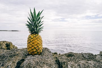 lomnely pineapple