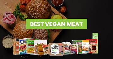 Best Vegan Meat Featured Image