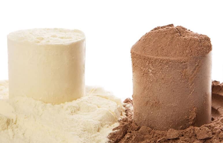 whey vs soy protein powder