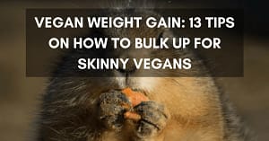 13 Tips on How to Gain Weight for Skinny Vegans (1)