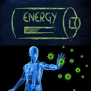 energy in human body