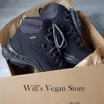 Box of Wills Vegan Shoes