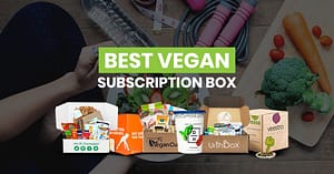Best Vegan Subscription Box Featured Image