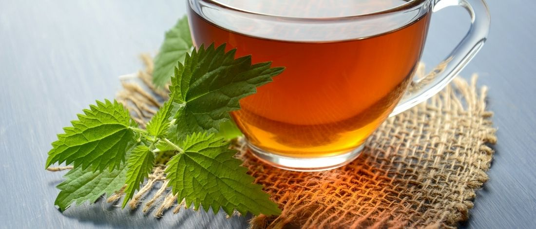 best green tea extract supplement