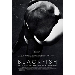 blackfish poster