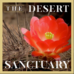 the desert sanctuary thumb