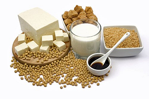 different type of soy protein
