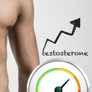 measurement of testosterone levels