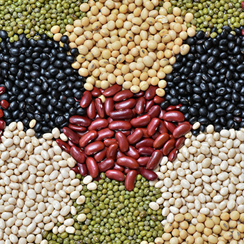 Beans, Lentils, Seed
