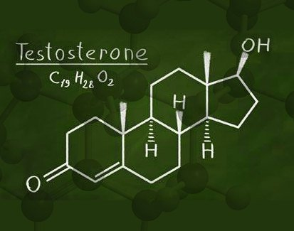 testosterone structure