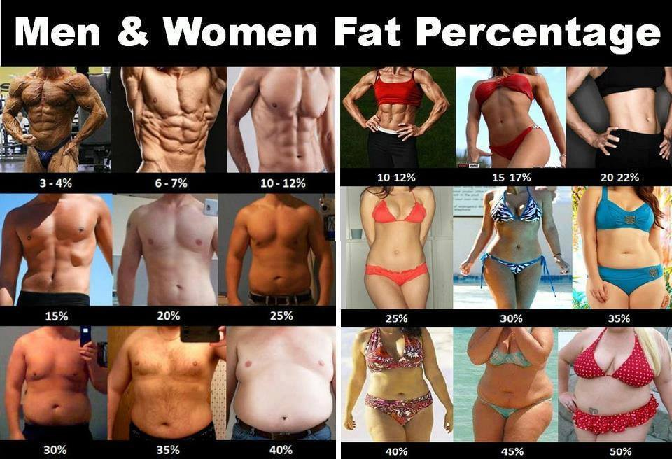 men and women fat percentage