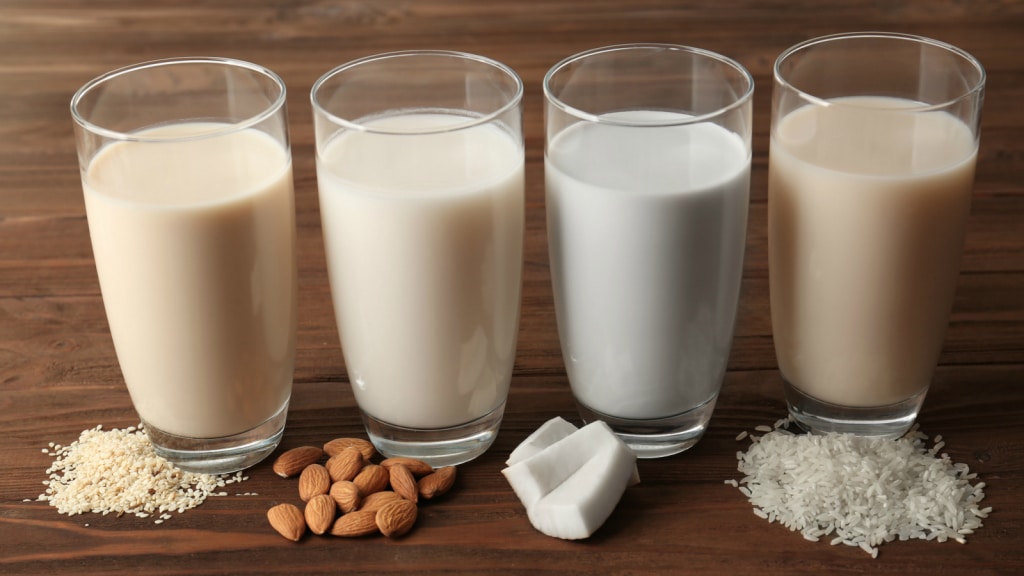 top choice non-dairy milk & oil pic